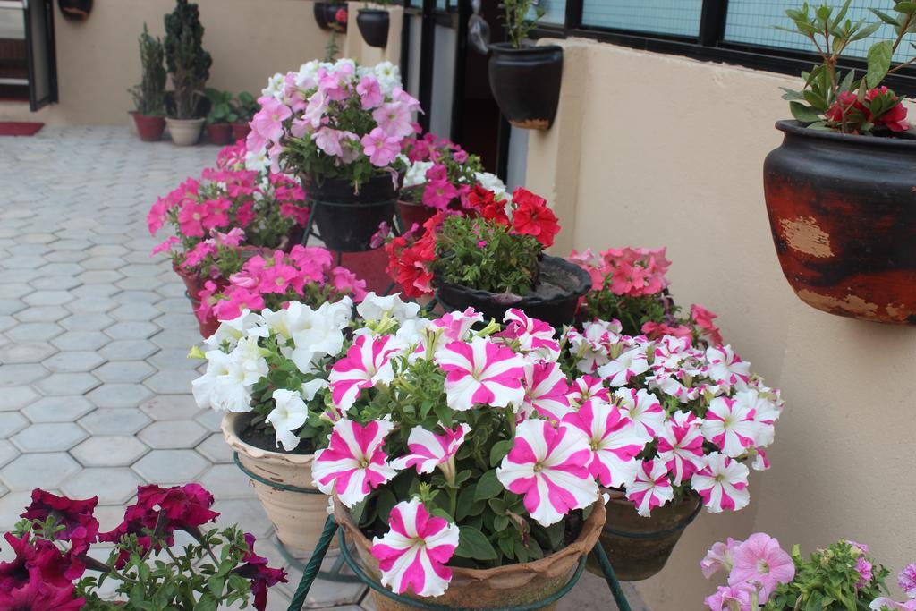 Dipankara Holiday Home Катманду Екстериор снимка
