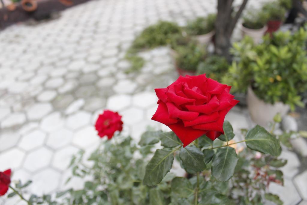Dipankara Holiday Home Катманду Екстериор снимка